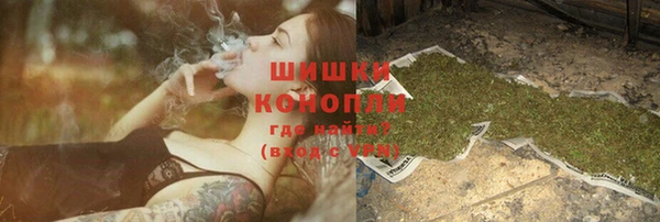 бошки Протвино