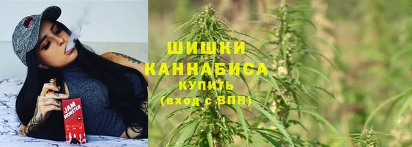 СК Ижевск