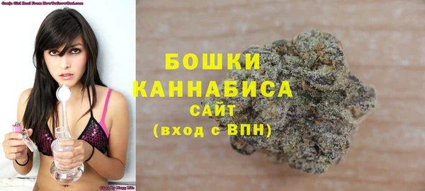 бошки Протвино