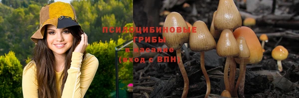 мескалин Приозерск