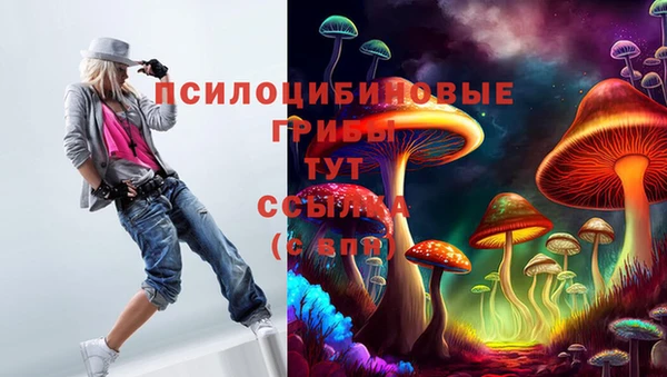бошки Протвино