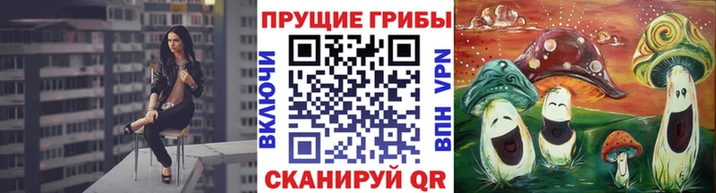 Псилоцибиновые грибы прущие грибы Агидель
